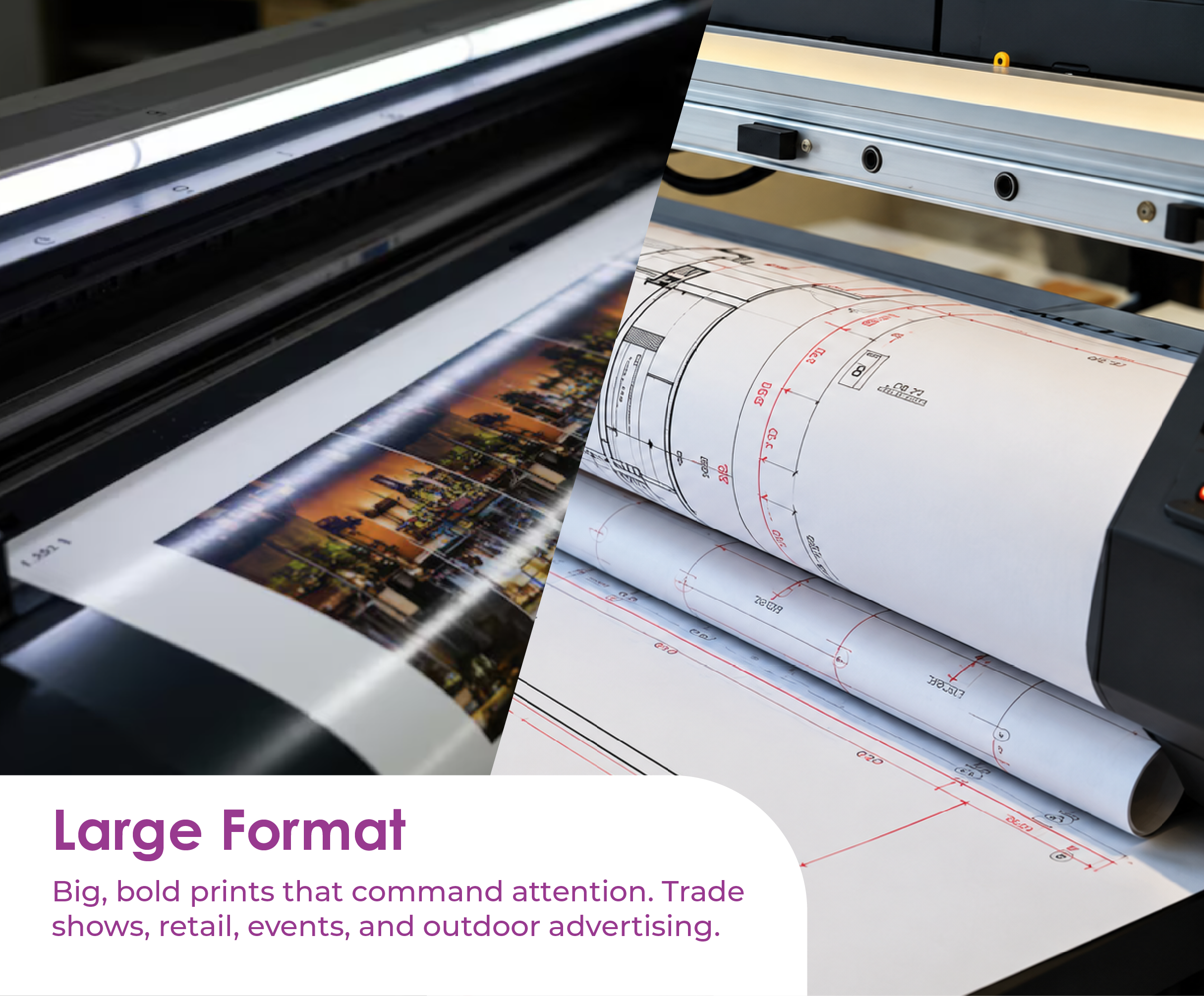 Brochure printing sample